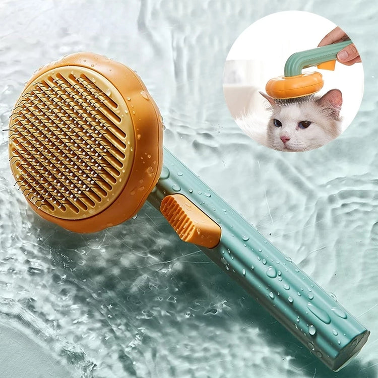 Pet Toys